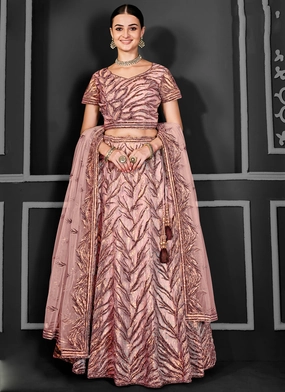 Blush Peach Net Embroidered Designer Lehenga Choli