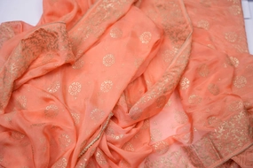 Blush Rose