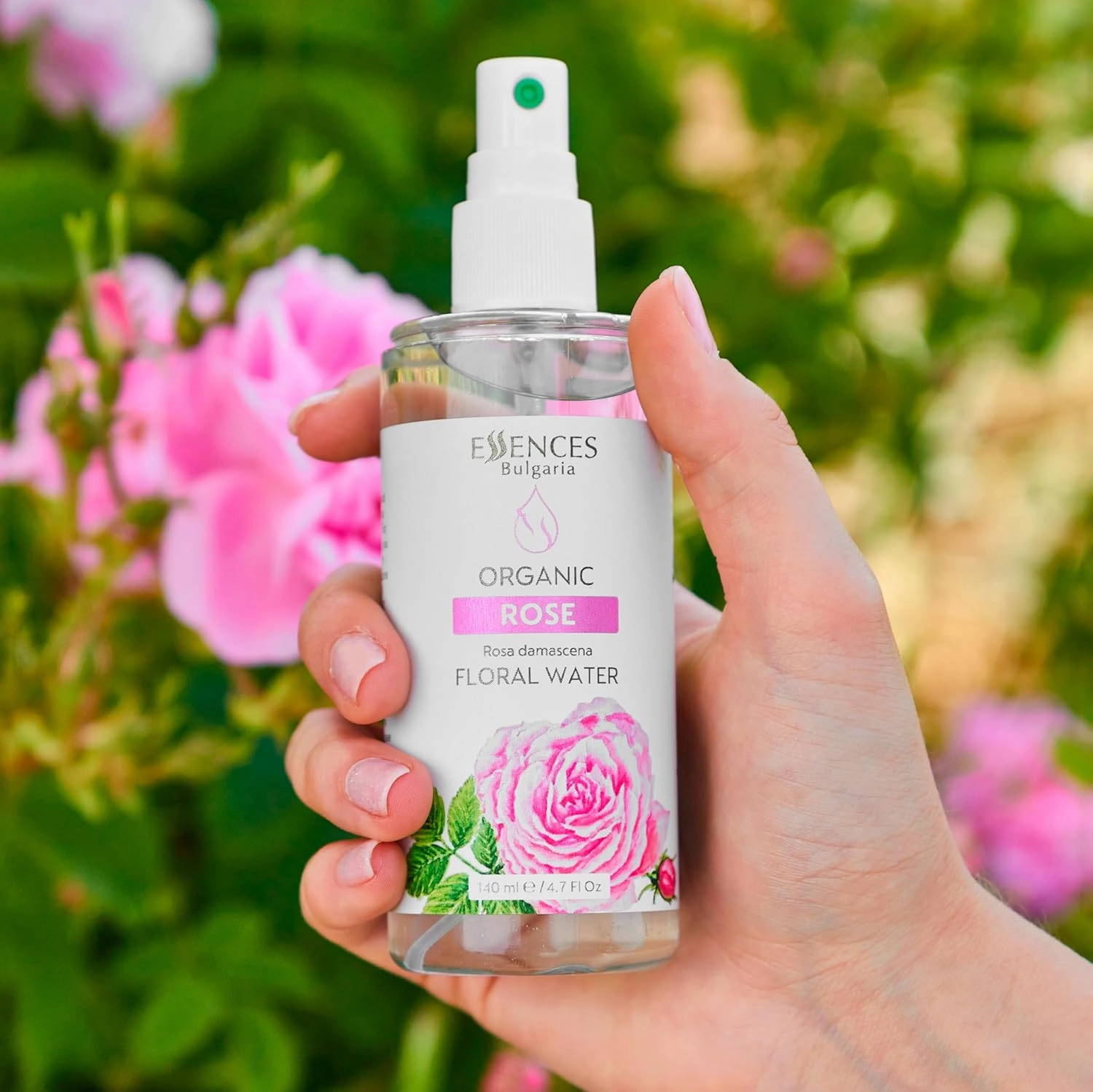 Essences Bulgaria | Organic Rose Floral Water 8.5 Fl Oz | 250ml | Rosa damascena | 100% Pure and Natural | Anti-Age Refreshing Beauty Mist | Alcohol-Free | Makeup Remover | Hydrating | Vegan