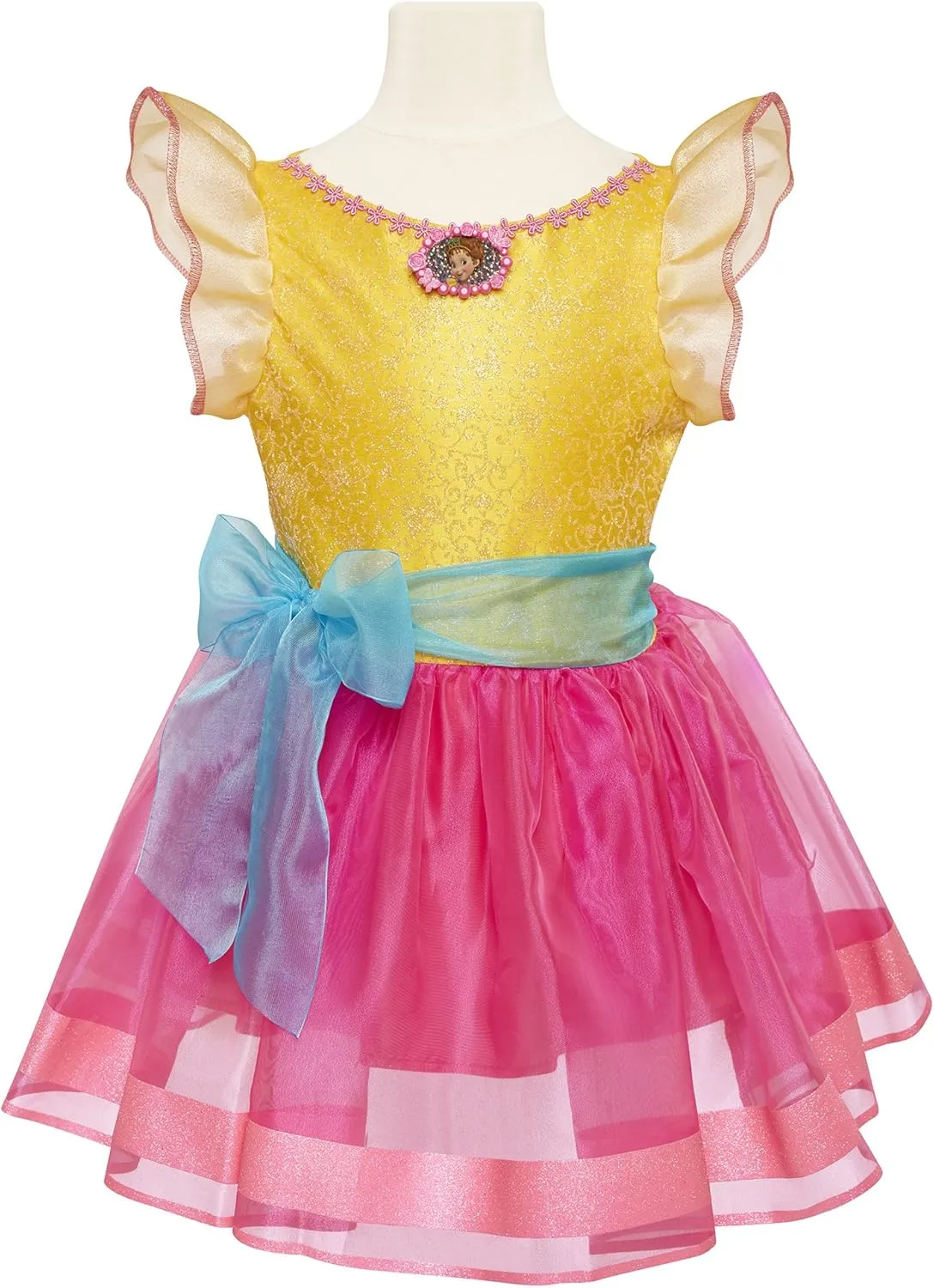 Fancy Nancy Signature Dress, Fits Sizes 4-6x
