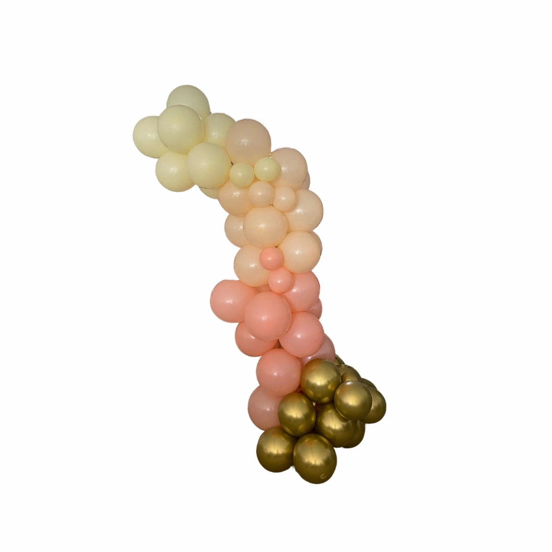 Grab   Go 2 Metre Peachy Keen Balloon Garland - Perth Only