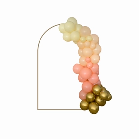 Grab   Go 2 Metre Peachy Keen Balloon Garland - Perth Only