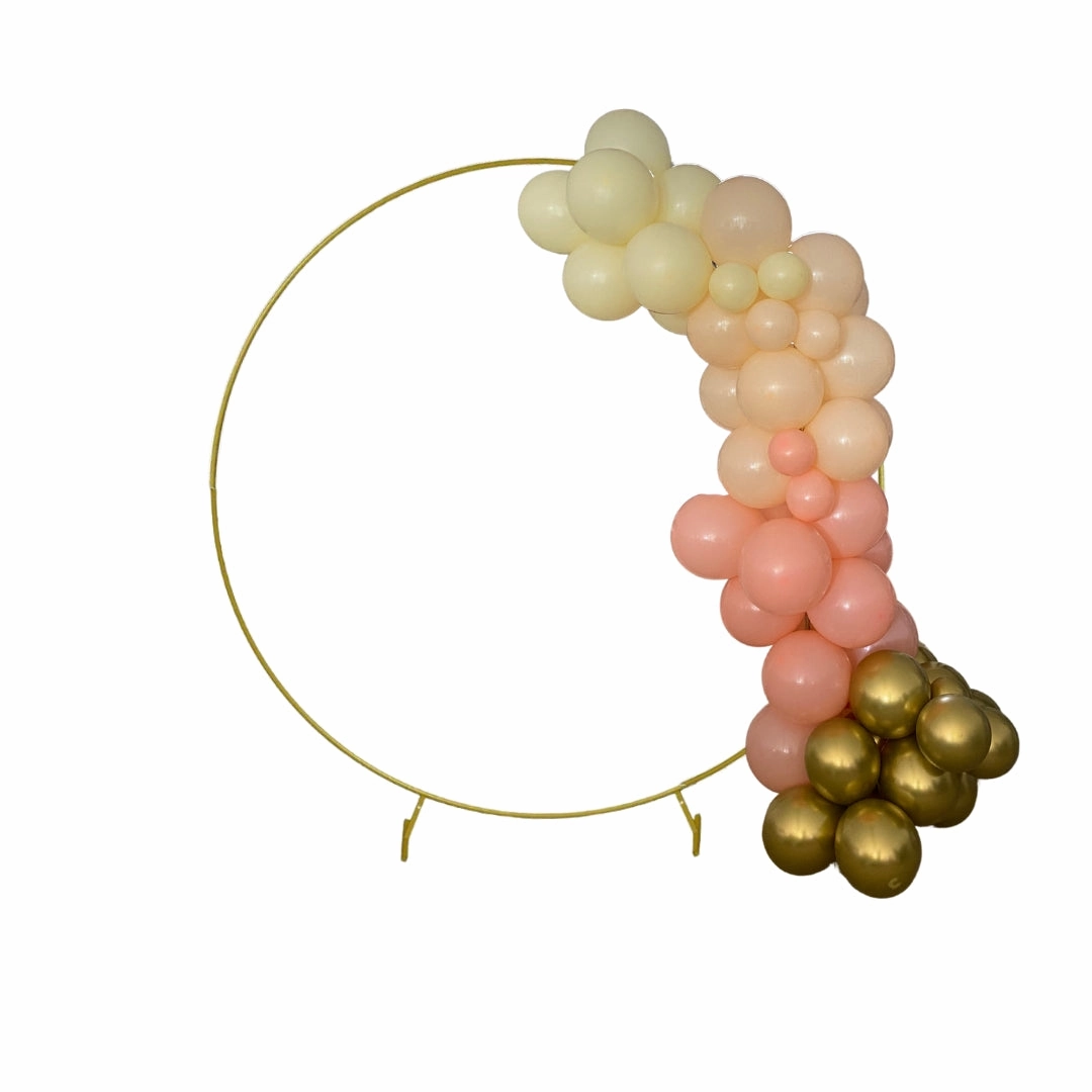 Grab   Go 2 Metre Peachy Keen Balloon Garland - Perth Only