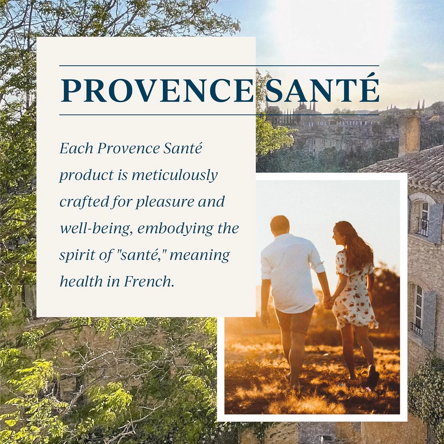 Provence Sante Natural Liquid Soap - Moisturizing Almond Oil Hand Soap with Floral Wild Rose Scent - Elegant Pump Dispenser for Kitchen & Bath (16.9 oz)