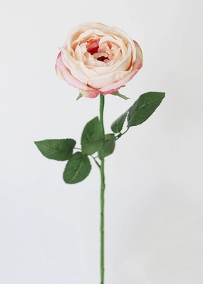 Silk Garden Cabbage Rose in Pastel Peach Pink - 23" Tall